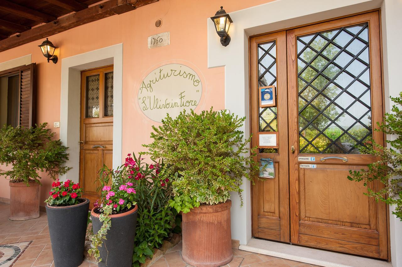 Agriturismo L'Ulivo In Fiore Spoleto Buitenkant foto